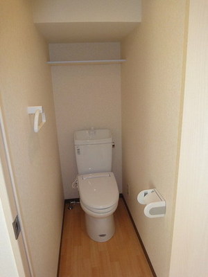 Toilet. New toilet Clean heating toilet seat toilet Yes storage rack