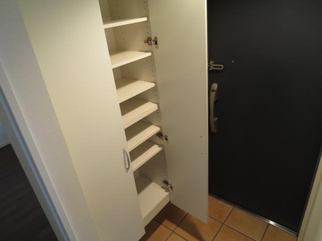 Entrance. Entrance storage