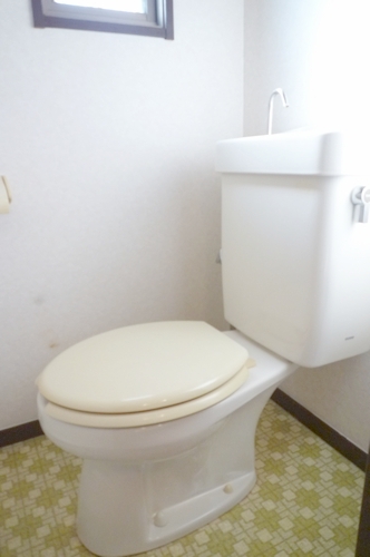 Toilet. It is a photograph of another room