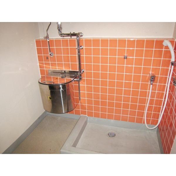 Other common areas. Pet foot washing place