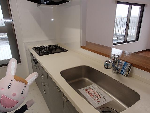 Kitchen. Indoor (October 25, 2013) Shooting