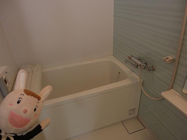 Bathroom. Indoor (October 25, 2013) Shooting