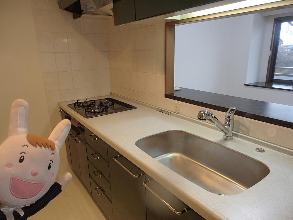 Kitchen. Indoor (December 27, 2013) Shooting