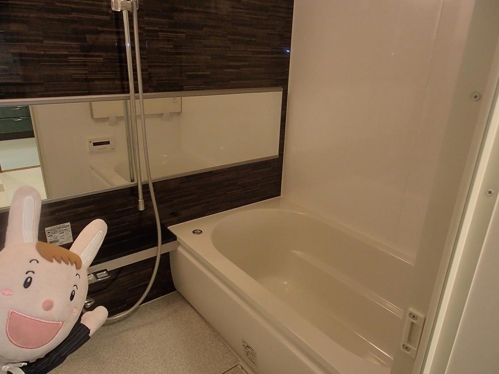 Bathroom. Indoor (December 27, 2013) Shooting