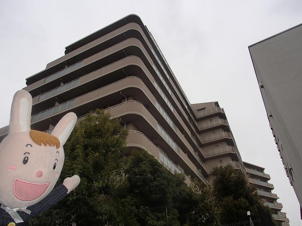 Local appearance photo. Local (December 27, 2013) Shooting