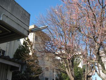 Primary school. 1088m to Matsudo Municipal Kogasaki Elementary School