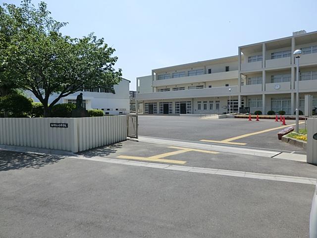 Junior high school. 300m to Matsudo Municipal put away junior high school