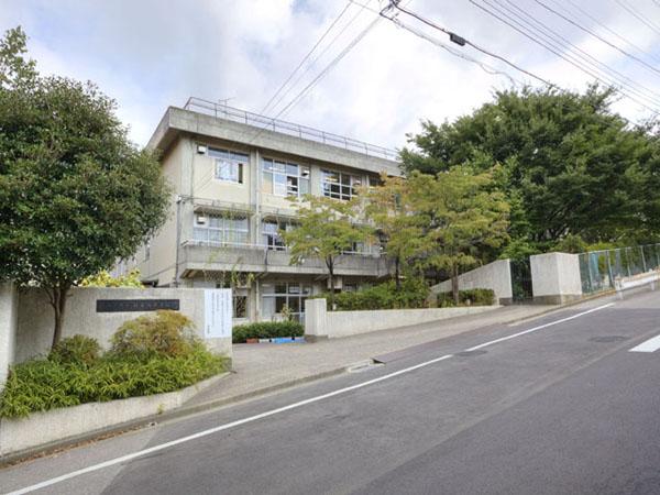 Junior high school. 1300m to Matsudo Municipal Negiuchi junior high school
