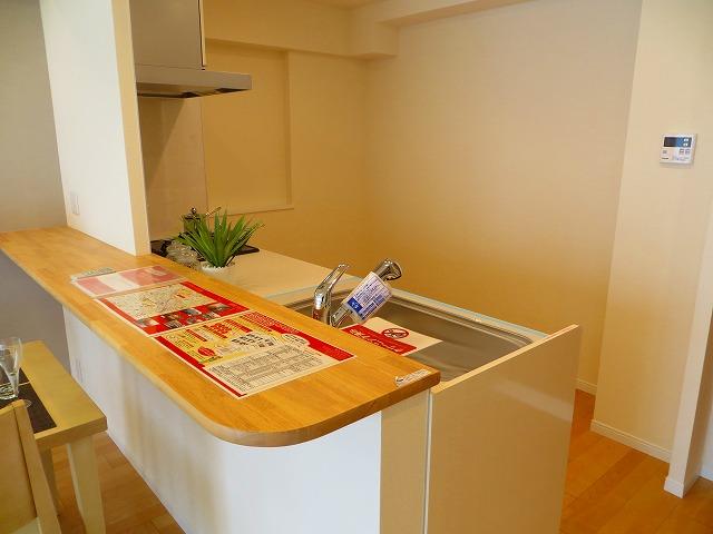 Kitchen. Indoor (11 May 2013) Shooting Bright kitchen