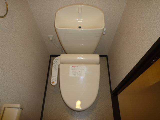 Toilet. Western Standard With warm water washing toilet seat