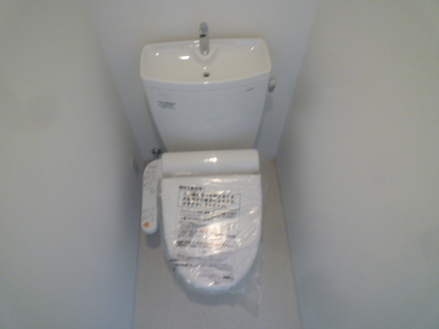 Toilet. Western Standard With warm water washing toilet seat