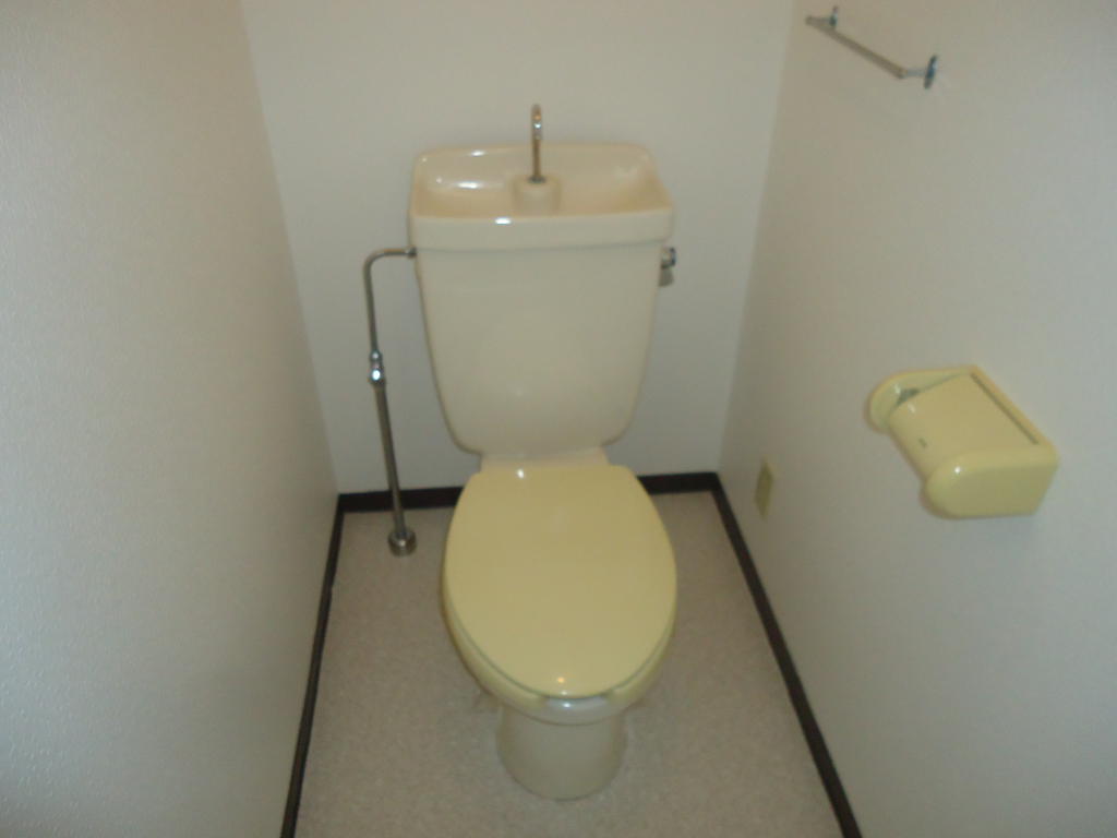 Toilet. Wide toilet