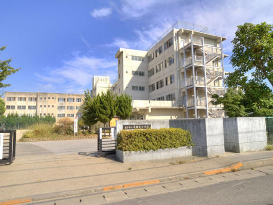 Primary school. 204m to Matsudo Municipal bridle bridge north elementary school (elementary school)