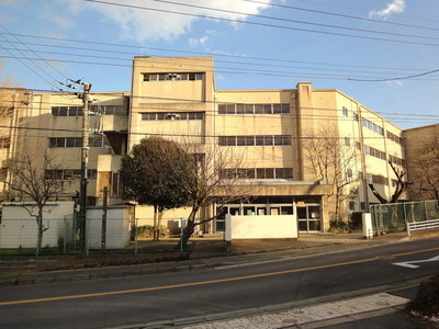 Primary school. Persimmon 200m up to elementary school (elementary school)