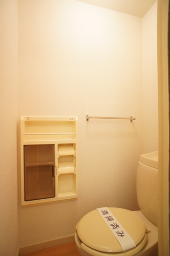 Toilet. You can clean storage there is a paper holder.