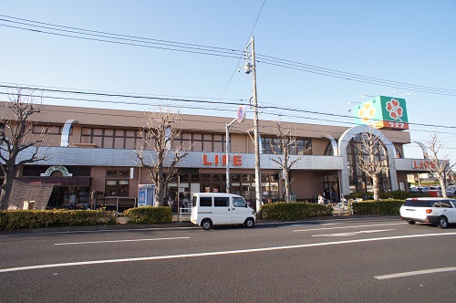 Supermarket. 600m up to life Matsudo twentieth century months hill store (Super)