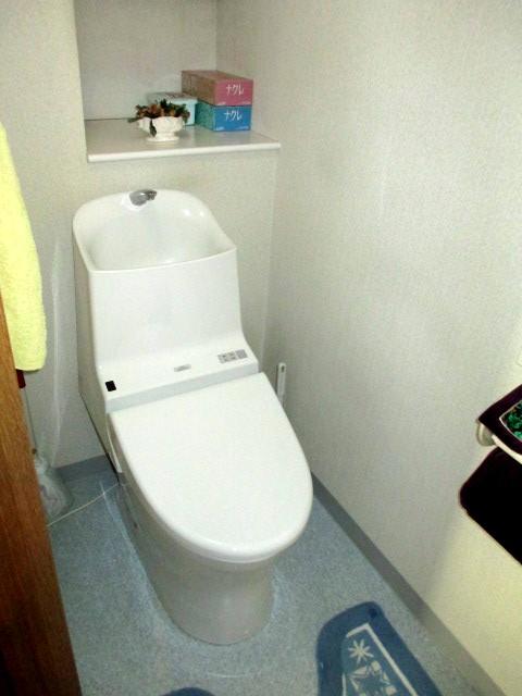 Toilet
