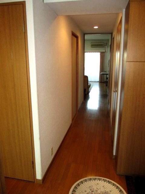 Other introspection. Corridor