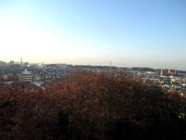 View photos from the dwelling unit. View (west)