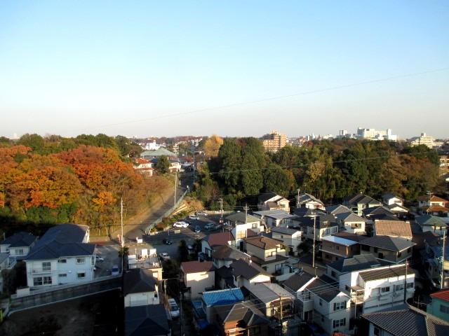 View photos from the dwelling unit. View (east)