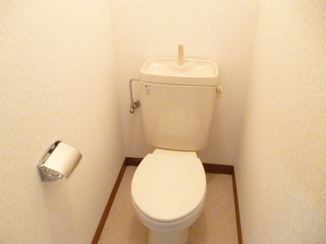 Toilet. Western style Standard type