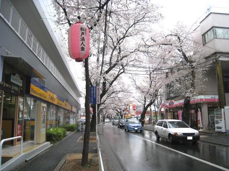 Streets around. 680m until Sakura Street