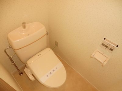 Toilet. Cold winter also comfortable bidet