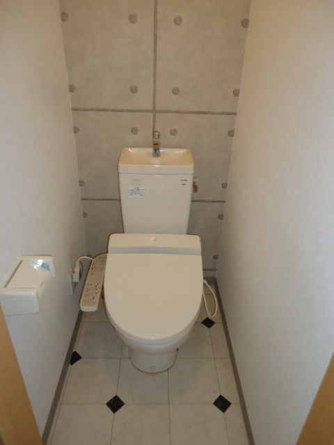 Toilet. Reference photograph