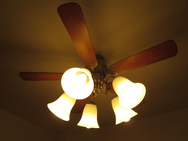 Other. In a little bit different atmosphere with lighting with fan.