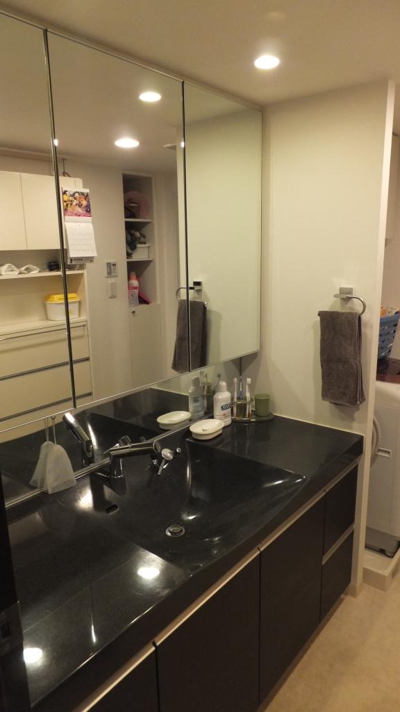 Wash basin, toilet. Vanity (March 2013 shooting)