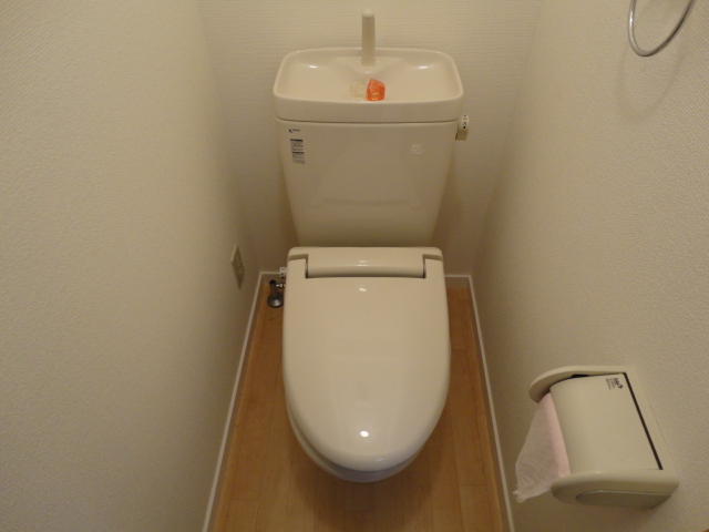 Toilet. With warm heating toilet seat