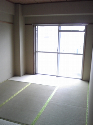 Other room space. Healing of Japanese-style room