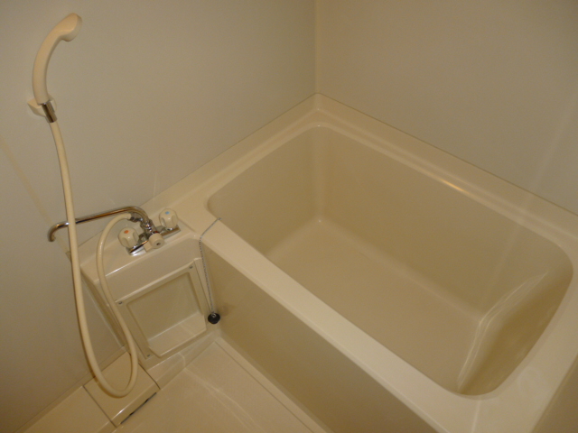 Bath. Shower, Hot water supply equation bathroom
