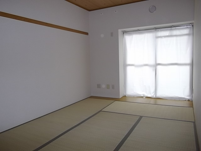 Living and room. Japanese-style room (1)