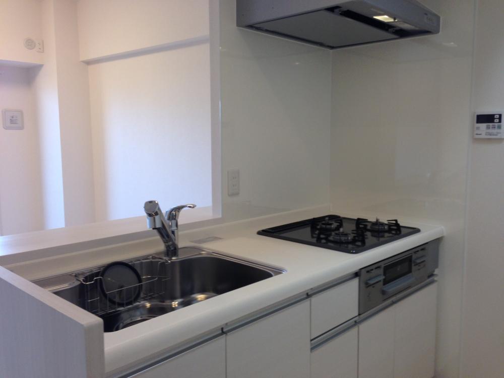 Kitchen. Indoor (11 May 2013) Shooting