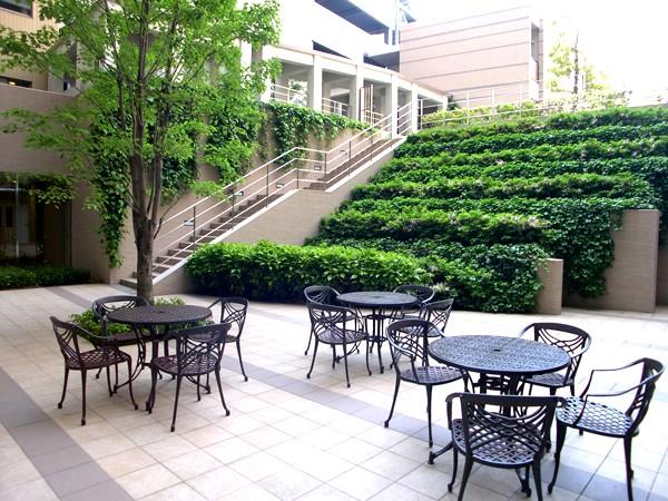 Other common areas. Courtyard (welcome Garden)