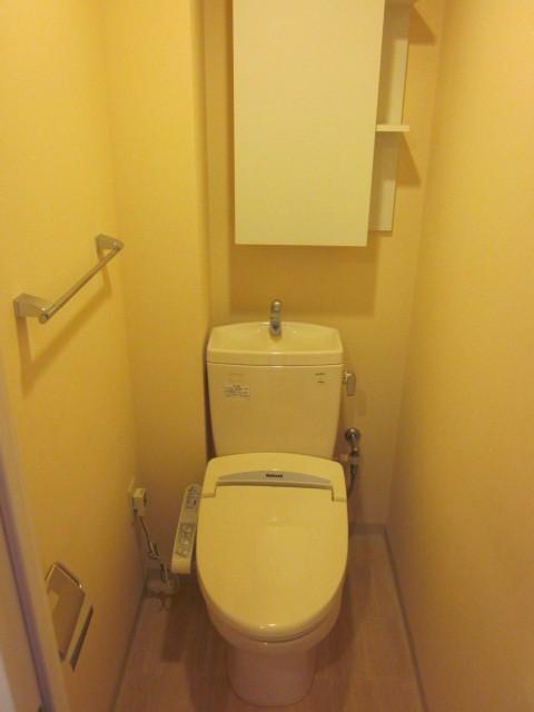 Toilet. Room (August 2013) Shooting