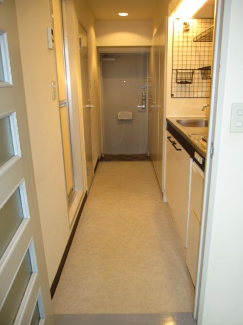 Entrance. Corridor of spread