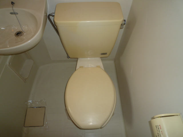 Toilet. Western Standard
