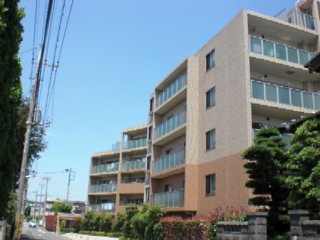 Local appearance photo. Local (July 2012) shooting