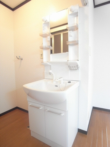 Washroom. Bathroom Vanity