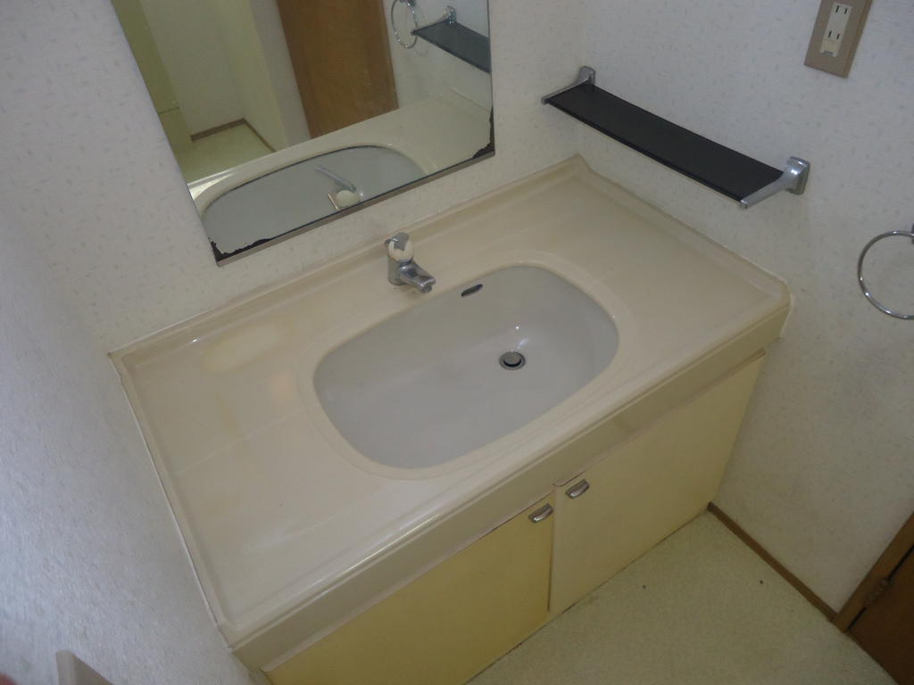 Washroom. It is a large basin