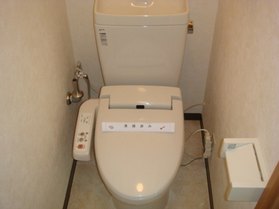 Toilet. Cleaning heating toilet seat