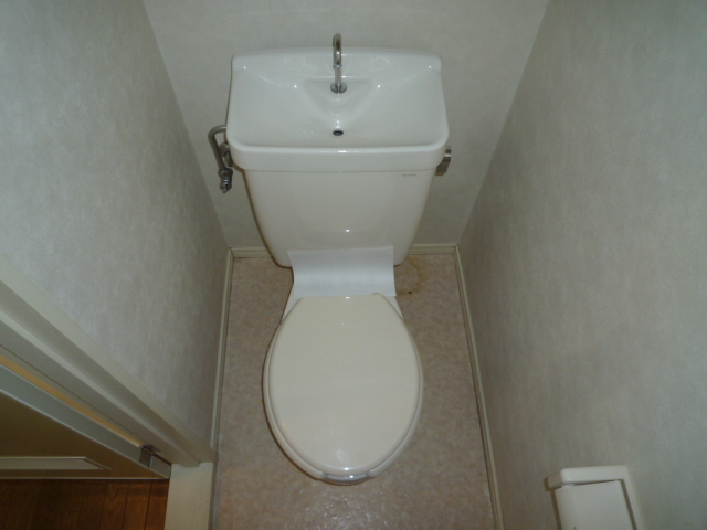 Toilet. A cleanliness standard Western-style