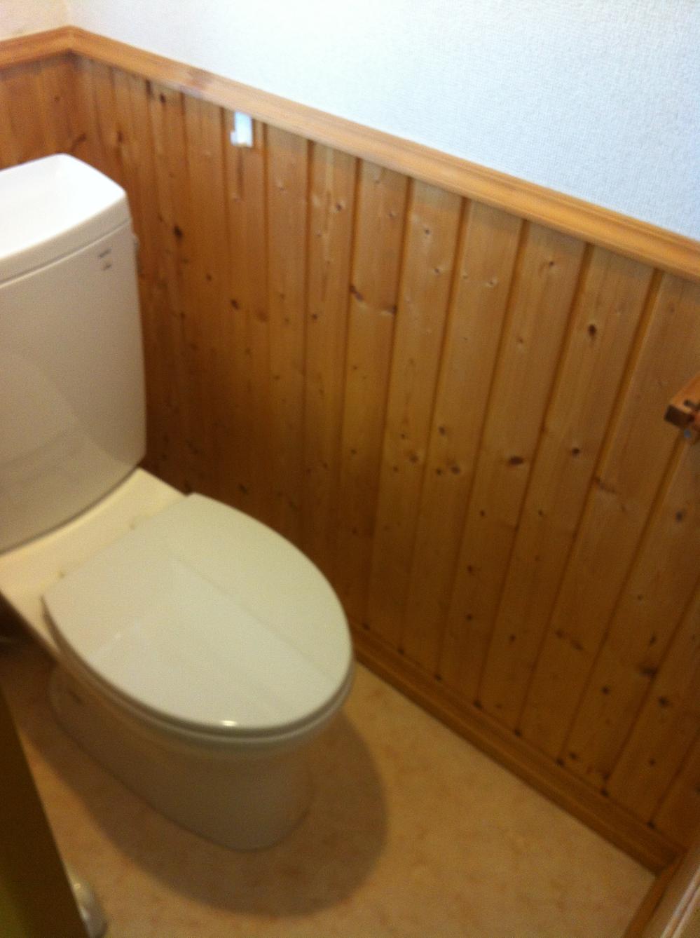 Toilet. Room (August 2013) Shooting