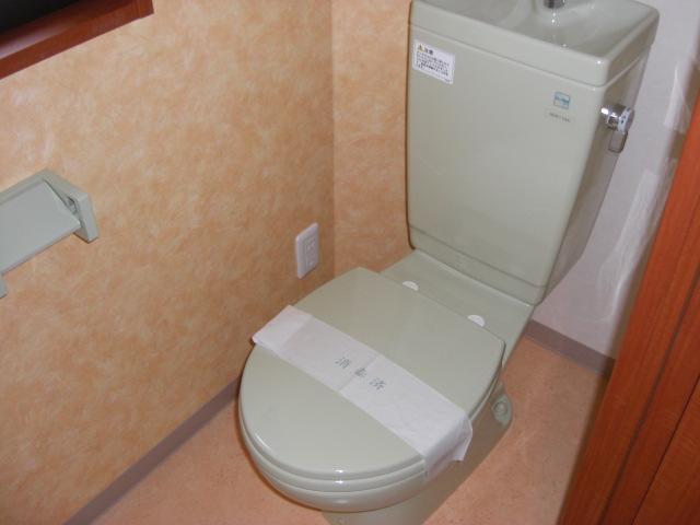 Toilet