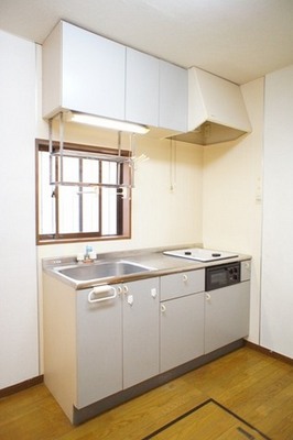 Kitchen. Two-burner kitchen with stove grill