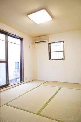 Living and room. Bright two-sided lighting Japanese-style room