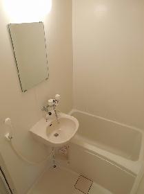 Bath. Basin integrated bathroom