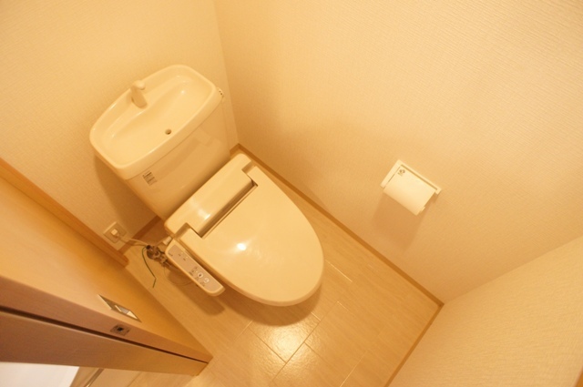 Toilet. The room is a picture